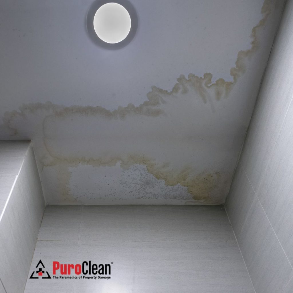 Water Stains in Your New Hom