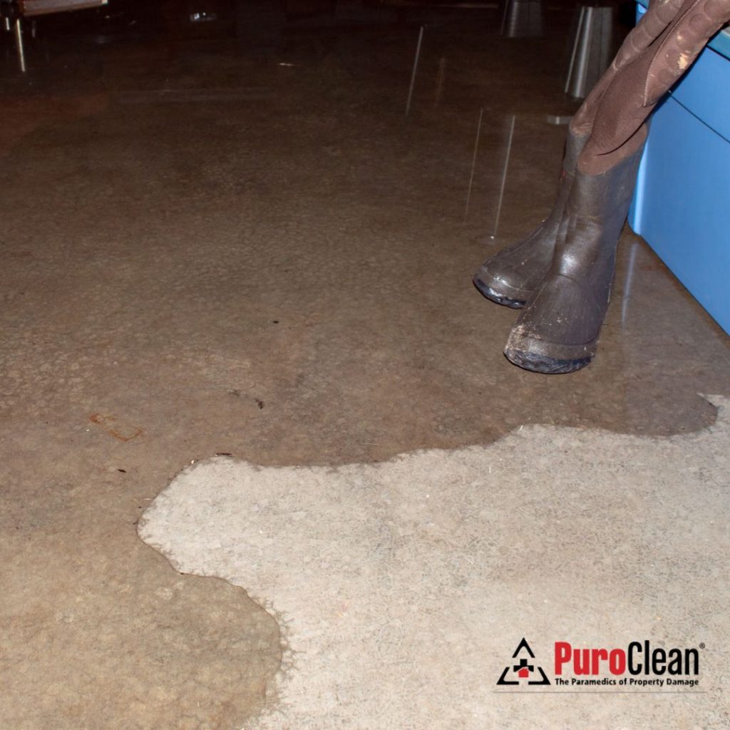 Basement flood cleanup 
