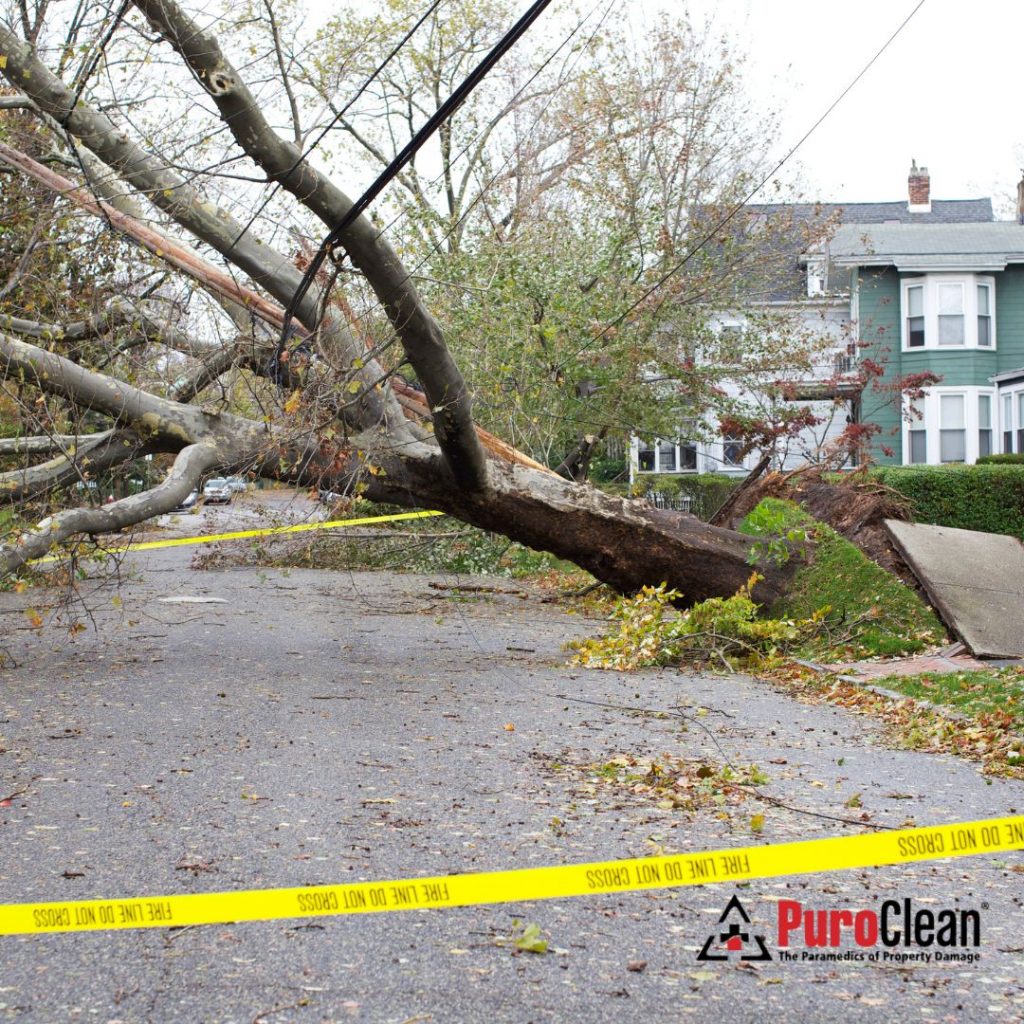Hurricane Preparedness & Recovery for Homeowners in Lawrenceville, GA