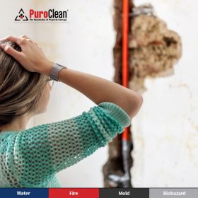 water line damage