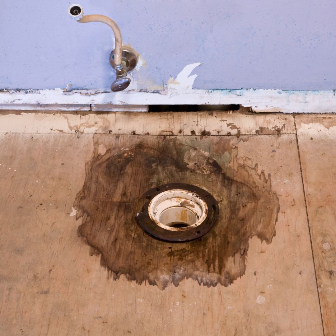 Emergency Category 3 Water Damage After 72 Hours: What Homeowners in Lawrenceville Need to Know