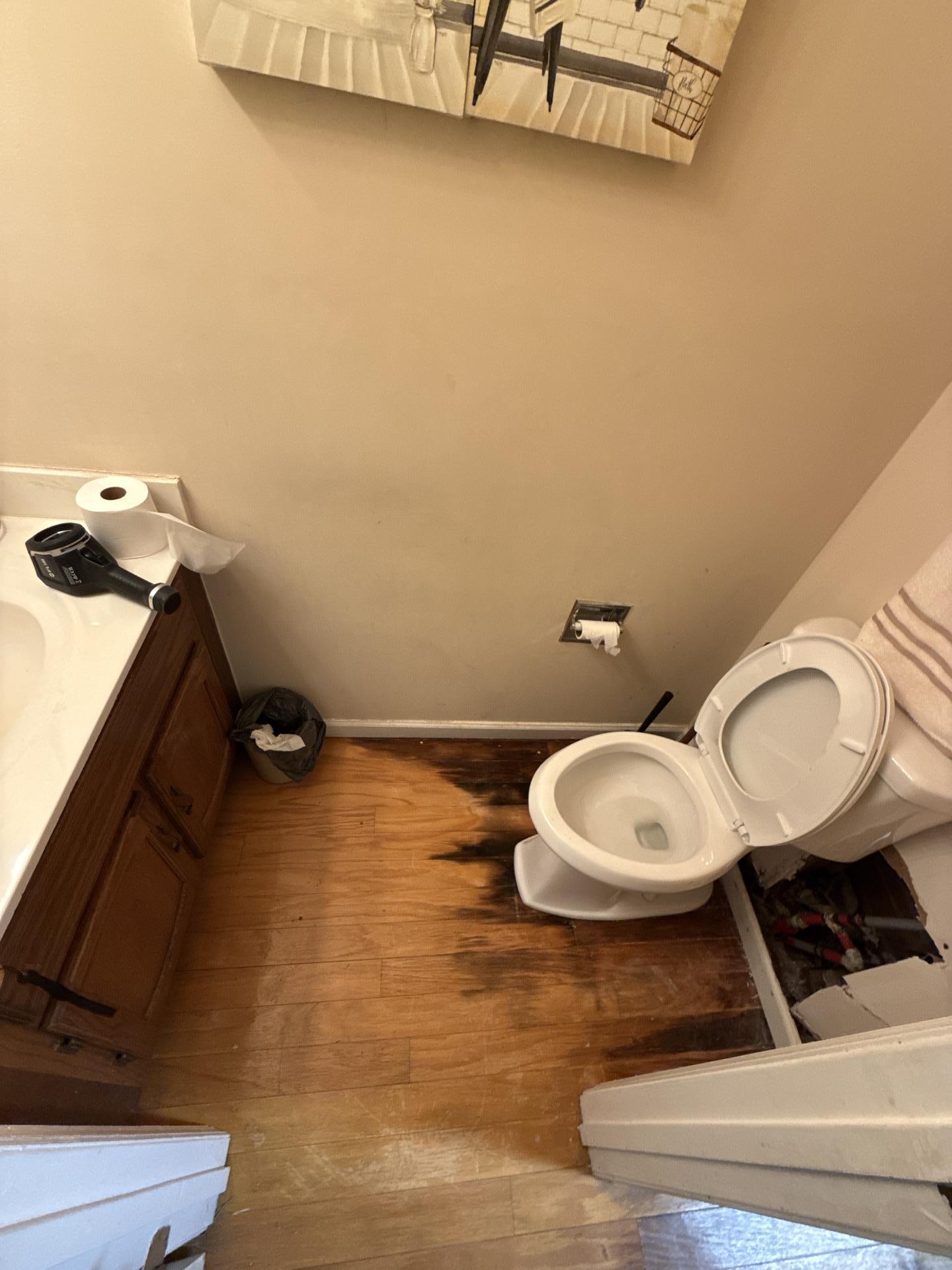 Moisture Trapped Under Floorboards: Causes, Warning Signs & Professional Solutions for Lawrenceville Homes