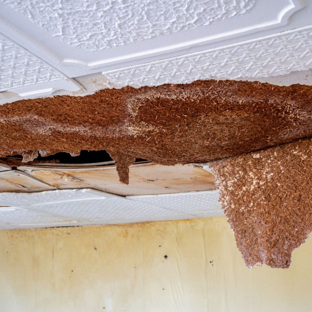 Water damage restoration Snellville