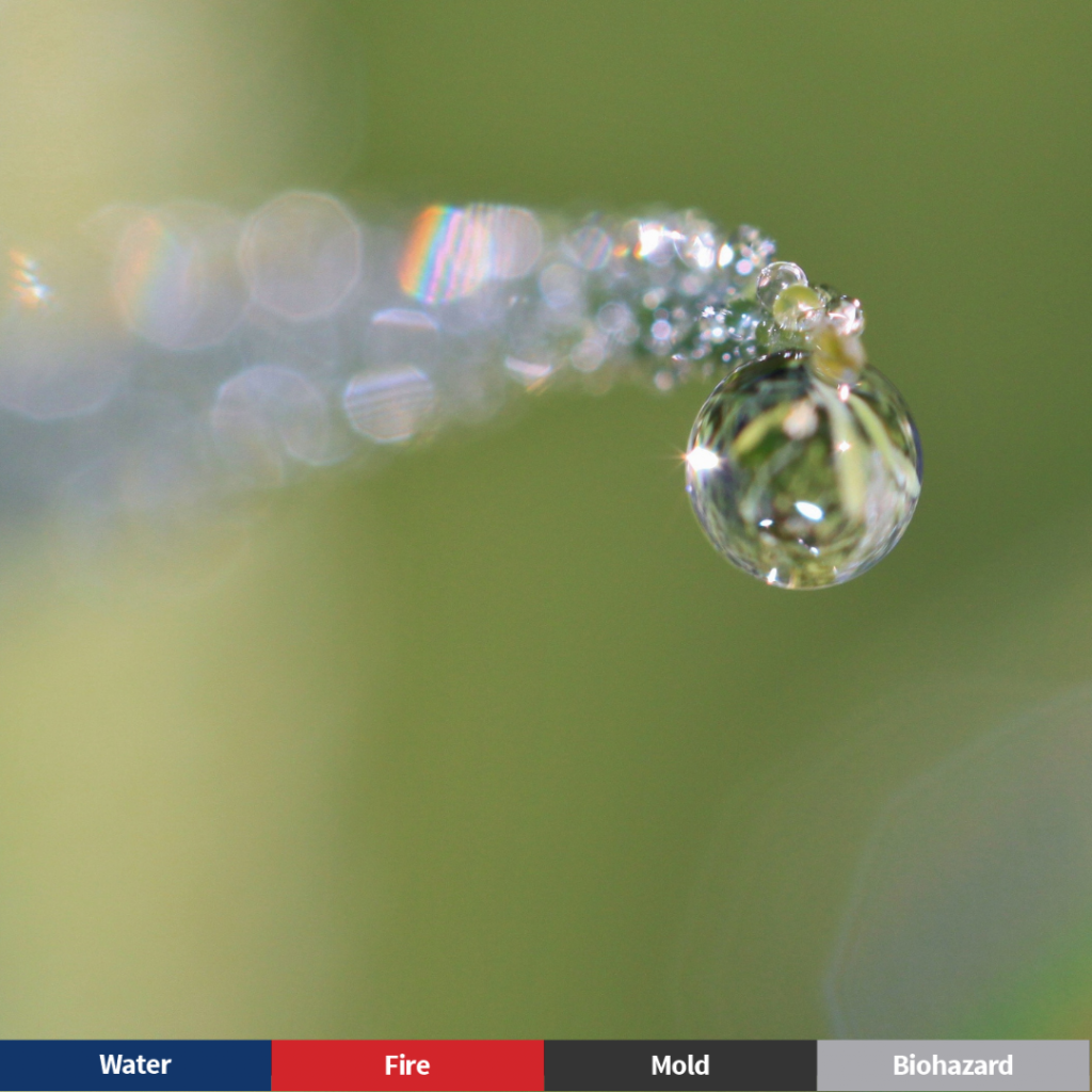 Lawrenceville Winter Freeze: 10 Expert Tips to Prevent Burst Pipes and Water Damage