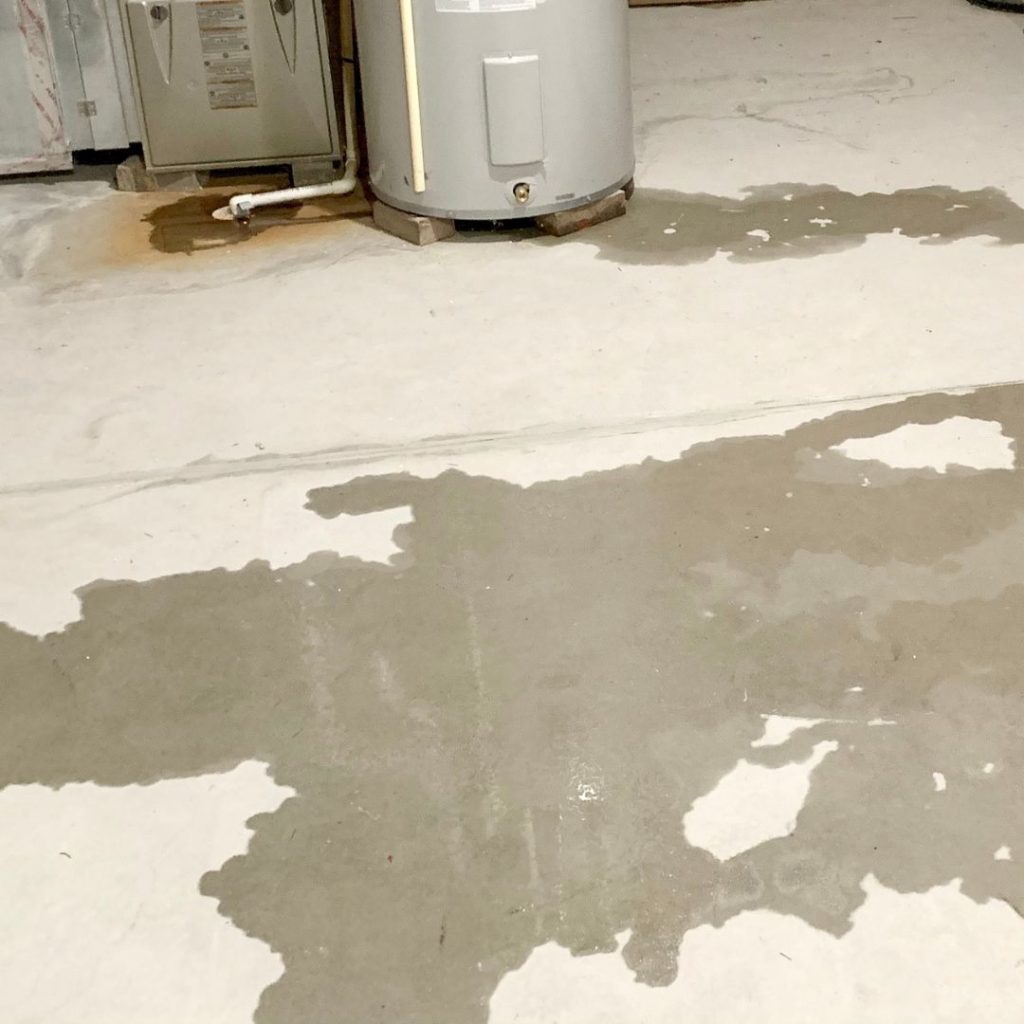 Moisture Under Floorboards After Flooding
