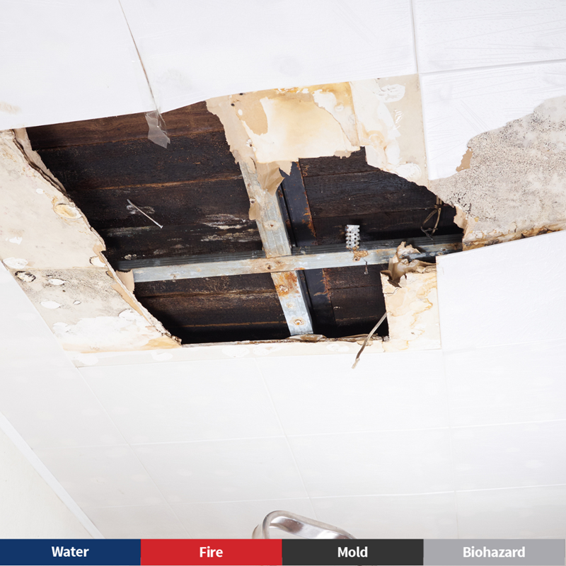 5 Reasons Why You Have a Ceiling Leak in Your Residential Apartment in Lawrenceville