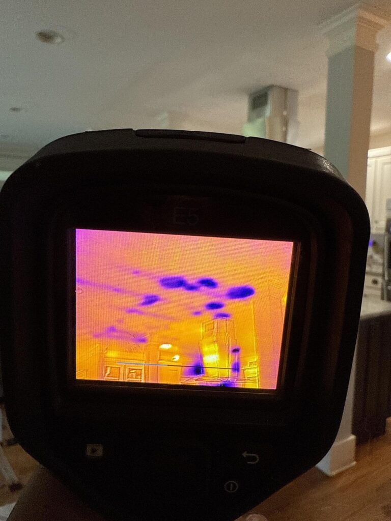 Moisture Meter in use