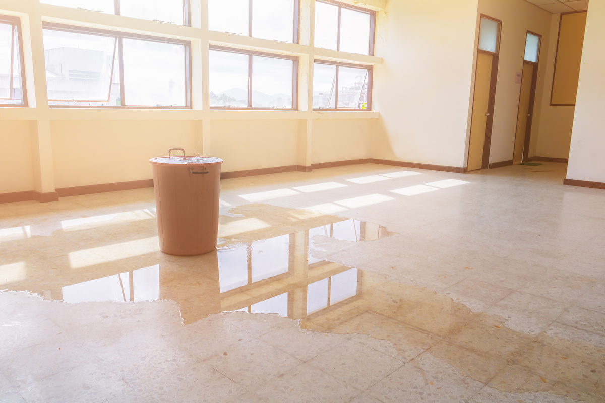 water damage restoration