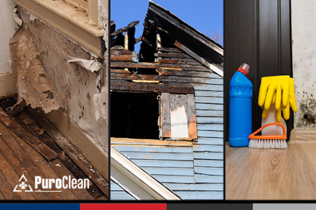 Winter Preparedness: 9 Urgent and Overlooked February Emergency Steps for Layton Homes During a Low-Snow Winter