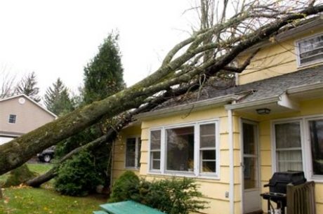 Home restoration