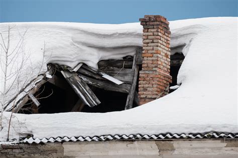Winter damage
