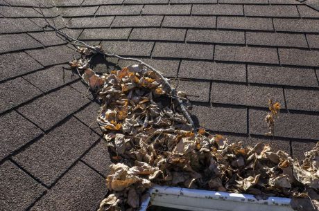 Roof Maintenance
