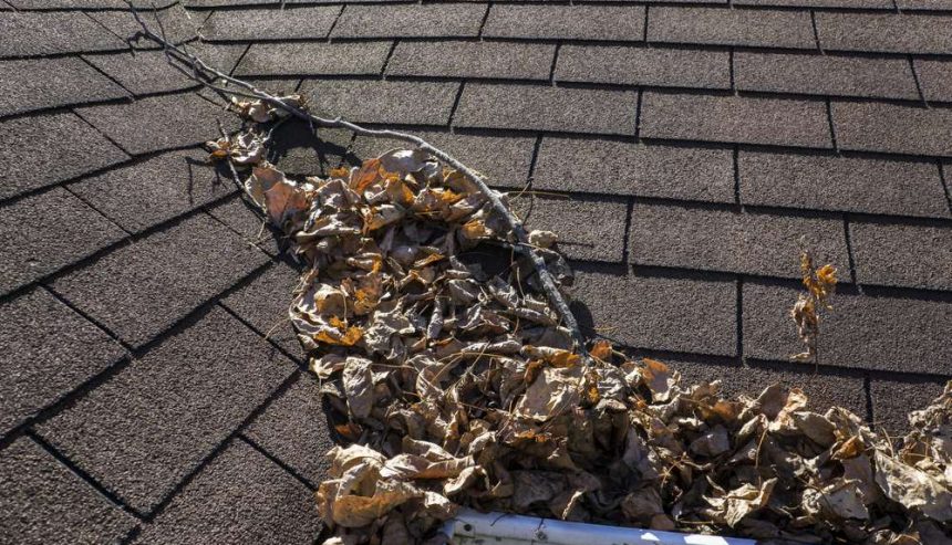 Roof Maintenance