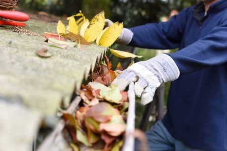 Gutter cleaning