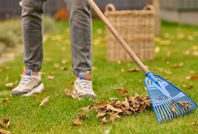Fall Cleanup Mistakes That Lead to Costly Property Damage