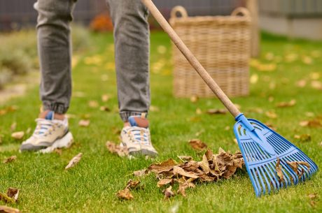 Fall Cleanup Mistakes That Lead to Costly Property Damage