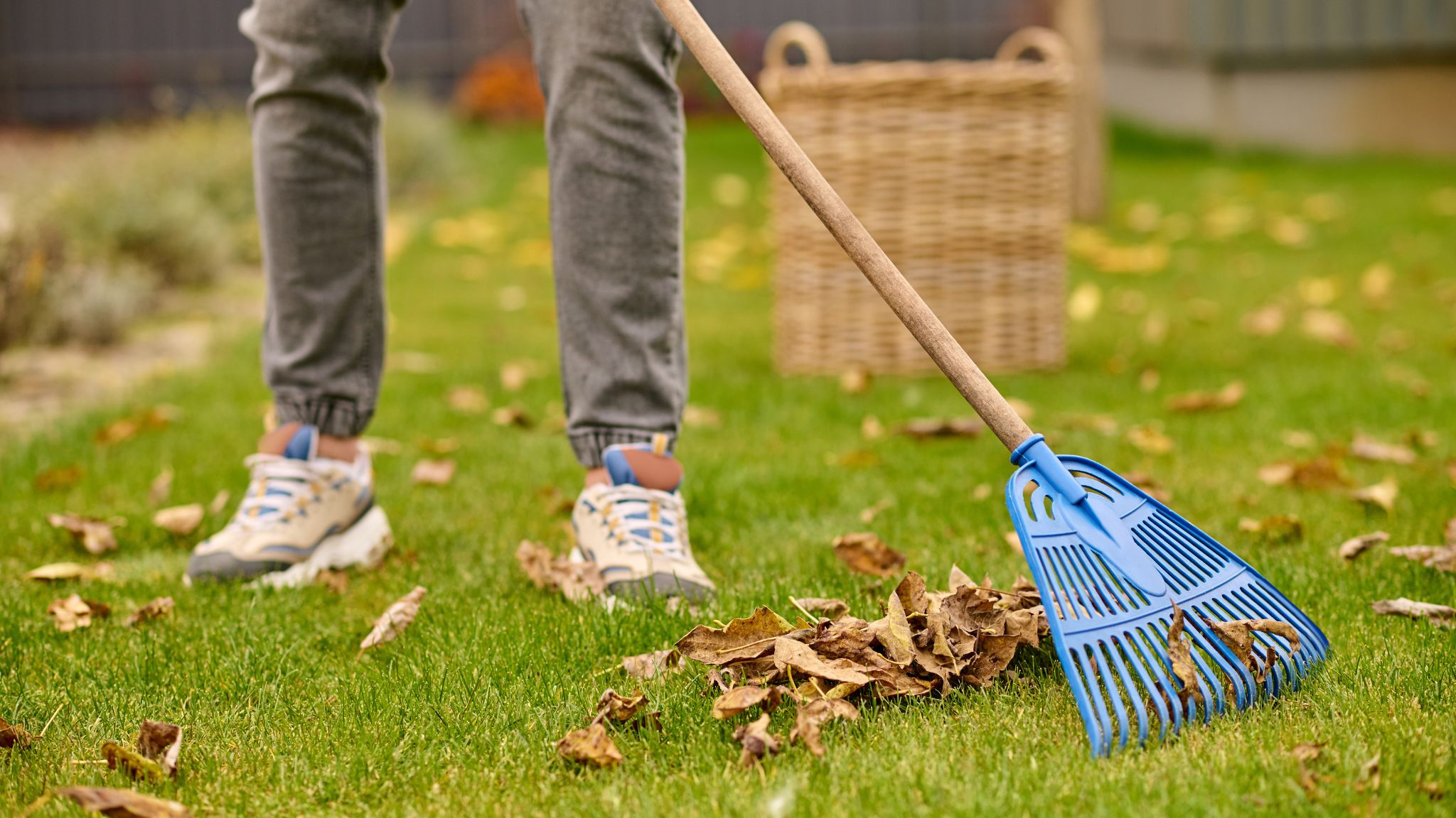 Fall Cleanup Mistakes That Lead to Costly Property Damage