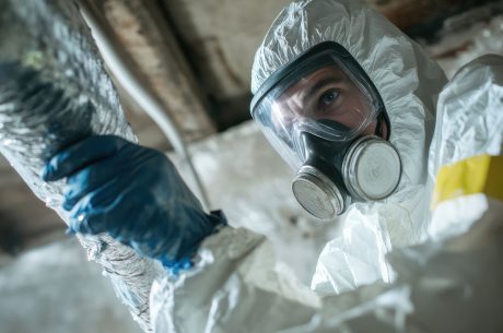 Post-Flood Mold