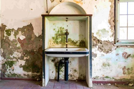 Signs of mold