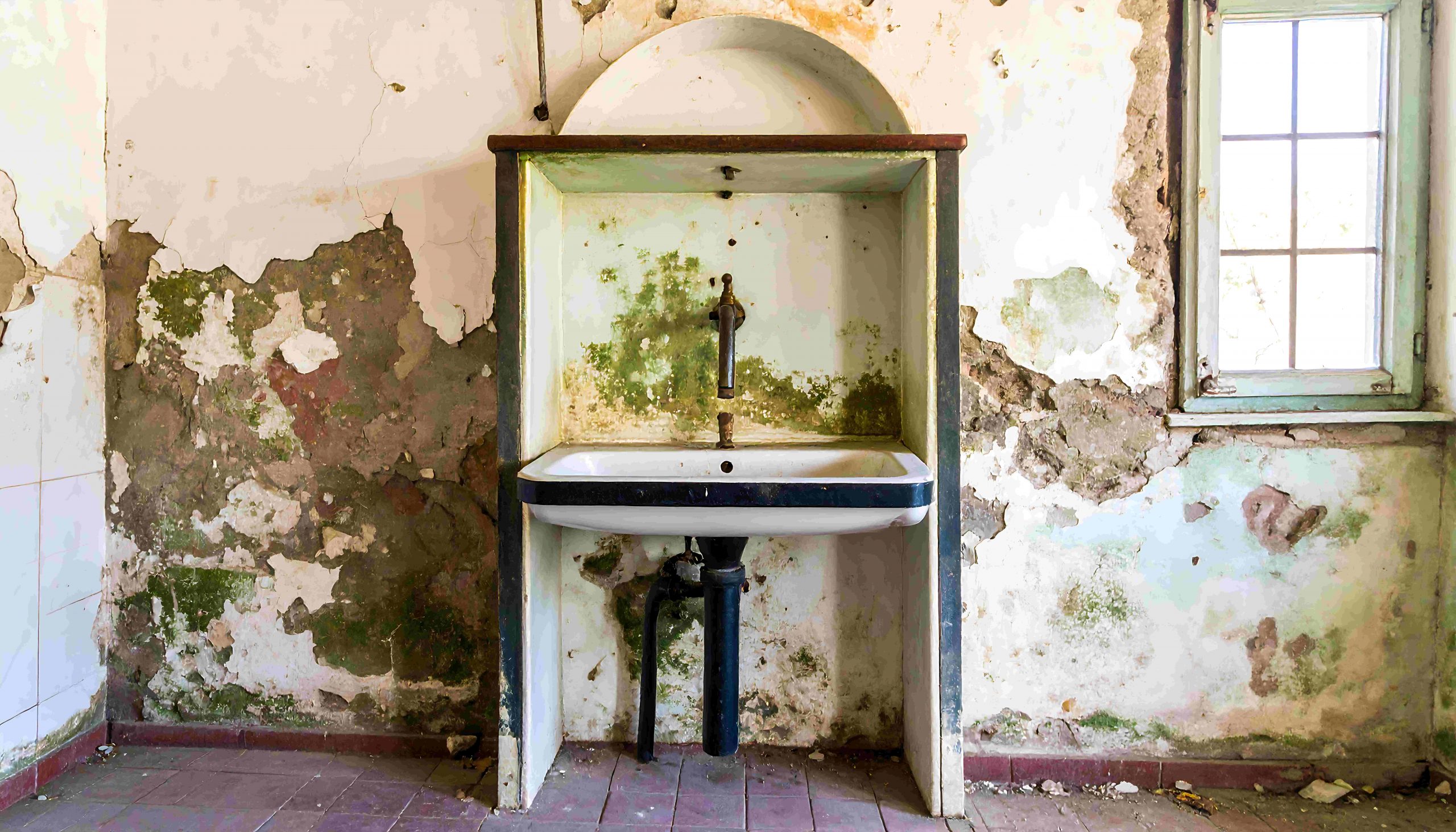 9 Alarming Signs of Mold Growth to Watch for in Utah Homes This Fall