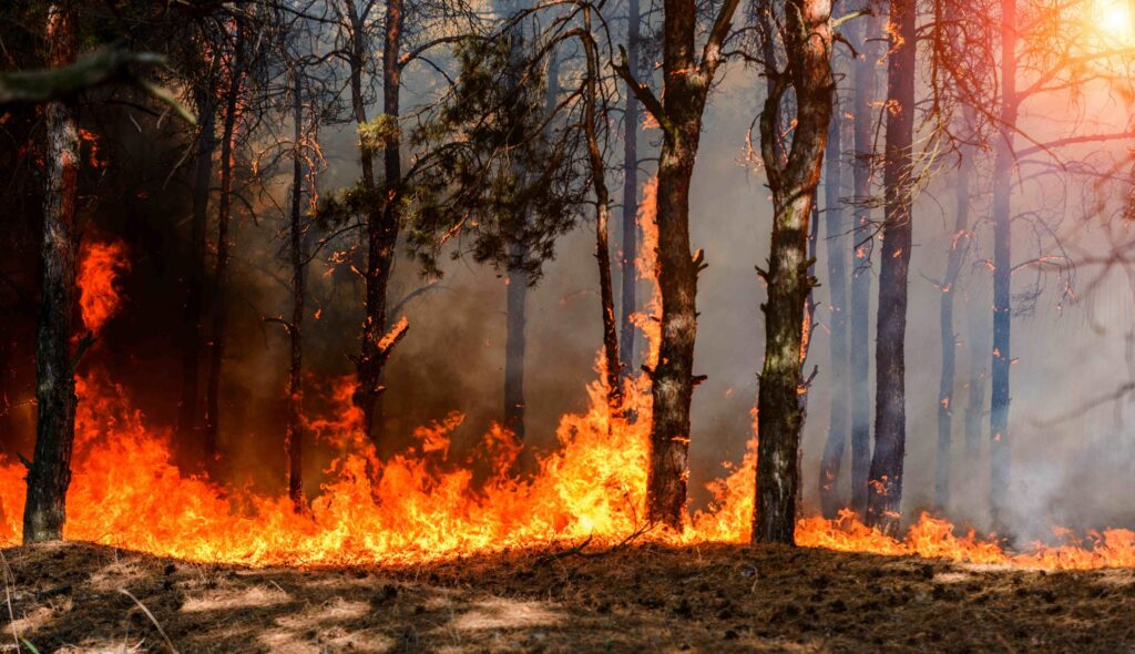 Smoke damage cleanup