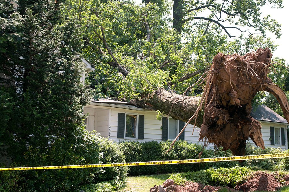 Fall property damage