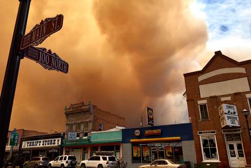 wildfire smoke& ember damage
