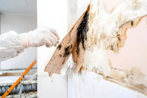 Black mold symptoms