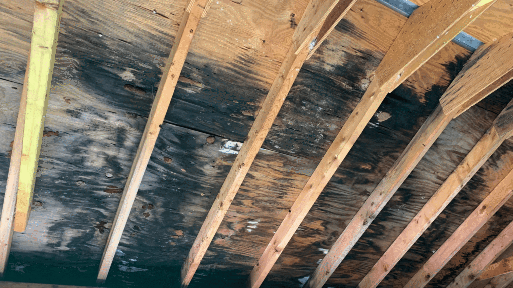 Attic condensation