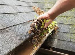Gutter Cleaning Salt Lake City