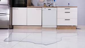 Dishwasher leak
