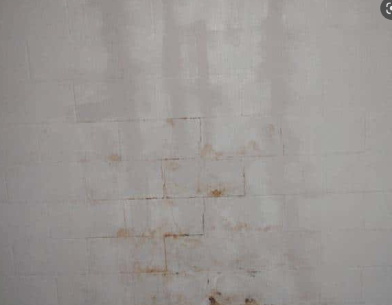 Mold Warped Wall