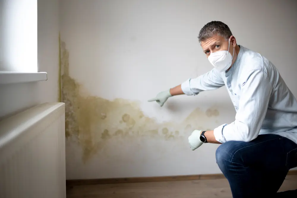 mold