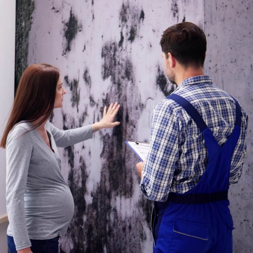 Mold Remediation and Removal