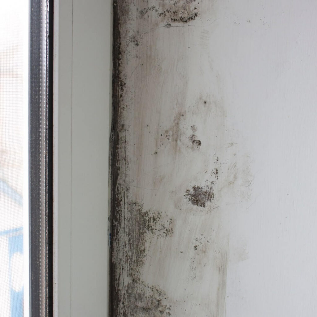 Preventing Mold Growth in HVAC Systems