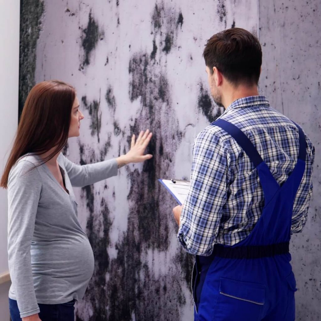 Mold Remediation and Removal
