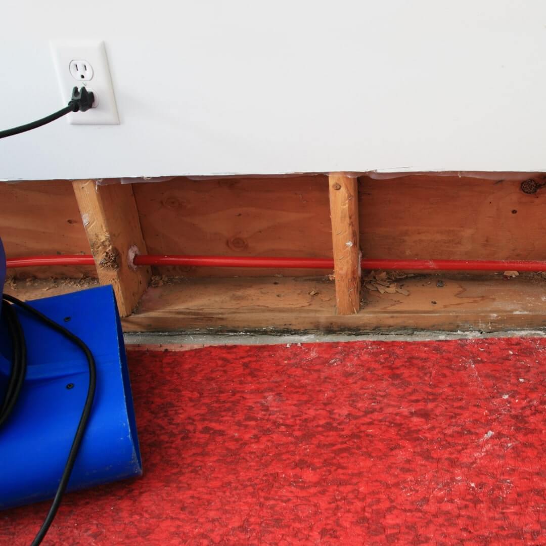 water damage restoration tools