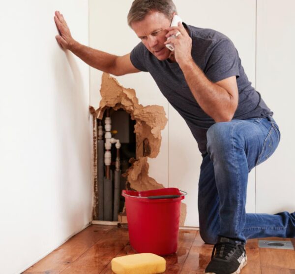 work on preventing mold growth by responding to water damage