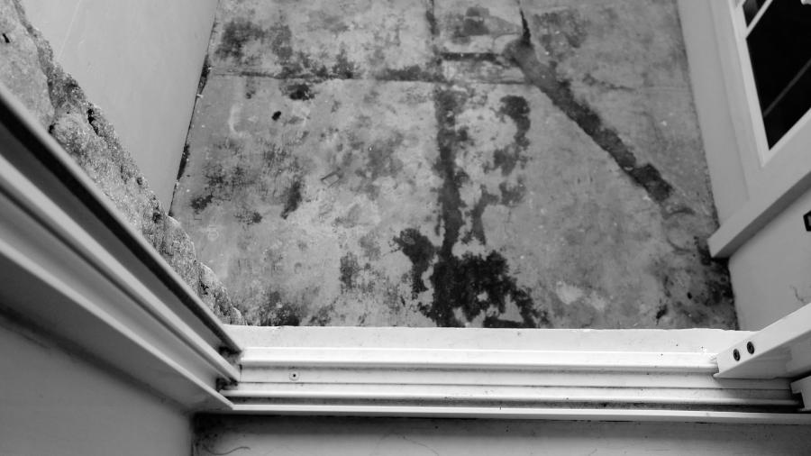 Mold exposure