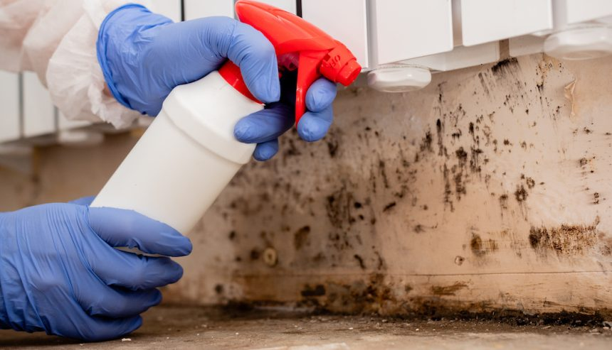 Spraying Solution At Mold