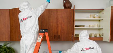 PuroClean workers Cleaning