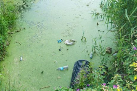 Water Contaminans