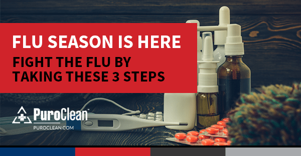 fight the flu infographic
