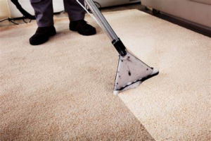 Professional Cleaning A Rug