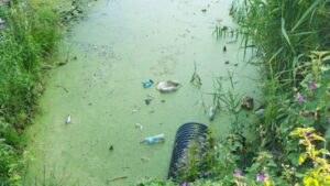Water Contaminans