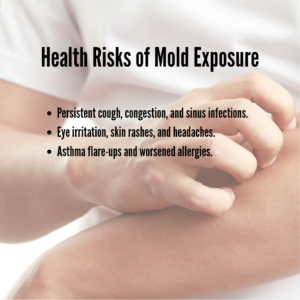 Mold Health Risks