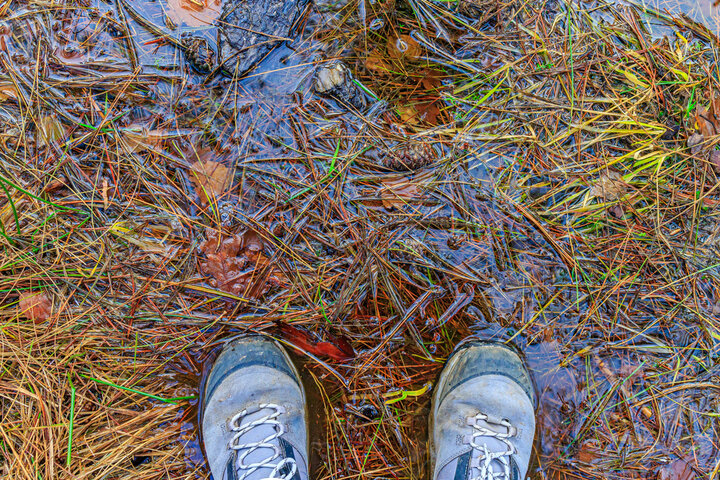 It's safest to wear shoes in a flooded garden in Syracuse.