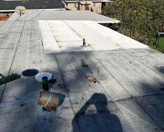 Image during a roof inspection, roof leaking in long beach, resulted in need for water mitigation and mold remediation.