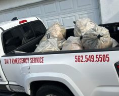 Mold remediation in Long Beach, california, trash contents bagged in heavy duty plastic, sealed in duct tape and disposed of in PuroClean truck.