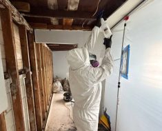 Mold remediation in Long Beach, owner in full PPE performing steps of mold remediation wearing full PPE in contained area.